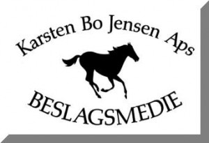 Karsten_bo_logo